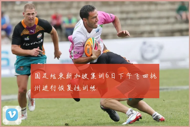 国足结束新加坡集训6日下午飞回杭州进行恢复性训练