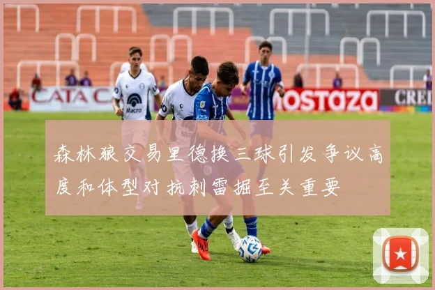 森林狼交易里德换三球引发争议高度和体型对抗刺雷掘至关重要