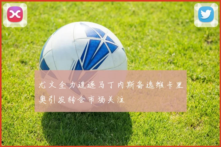 尤文全力追逐马丁内斯备选维卡里奥引发转会市场关注